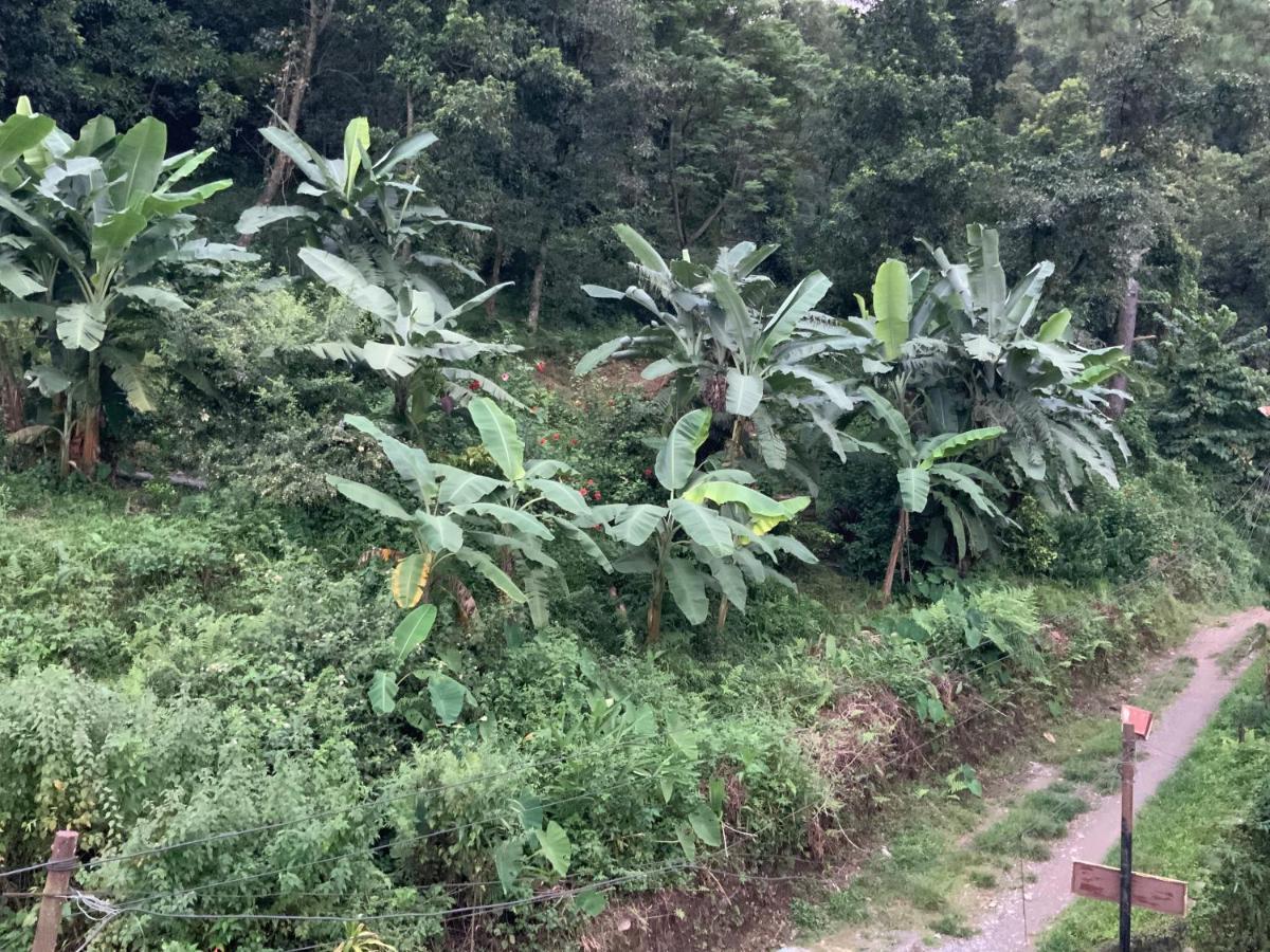 博卡拉Bamboo Garden别墅 外观 照片